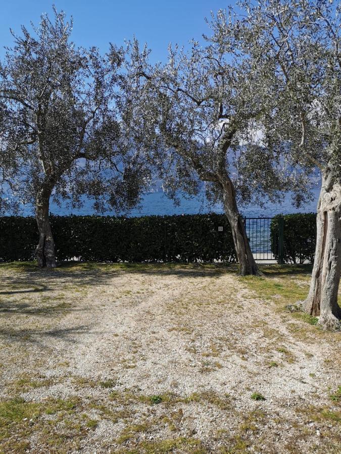 Camping Baldo Brenzone sul Garda Exterior photo