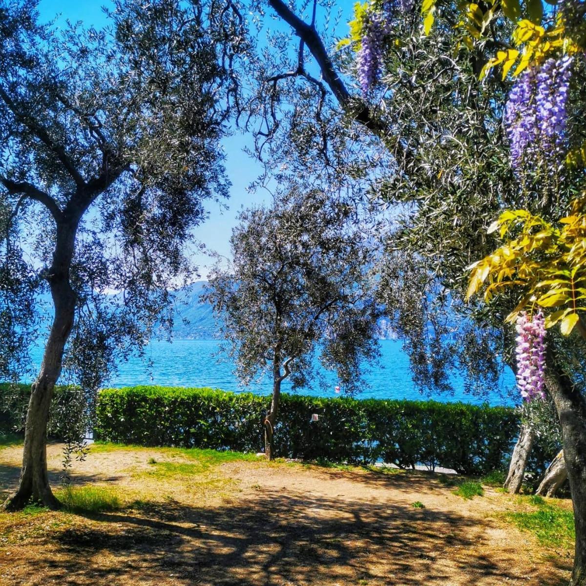Camping Baldo Brenzone sul Garda Exterior photo